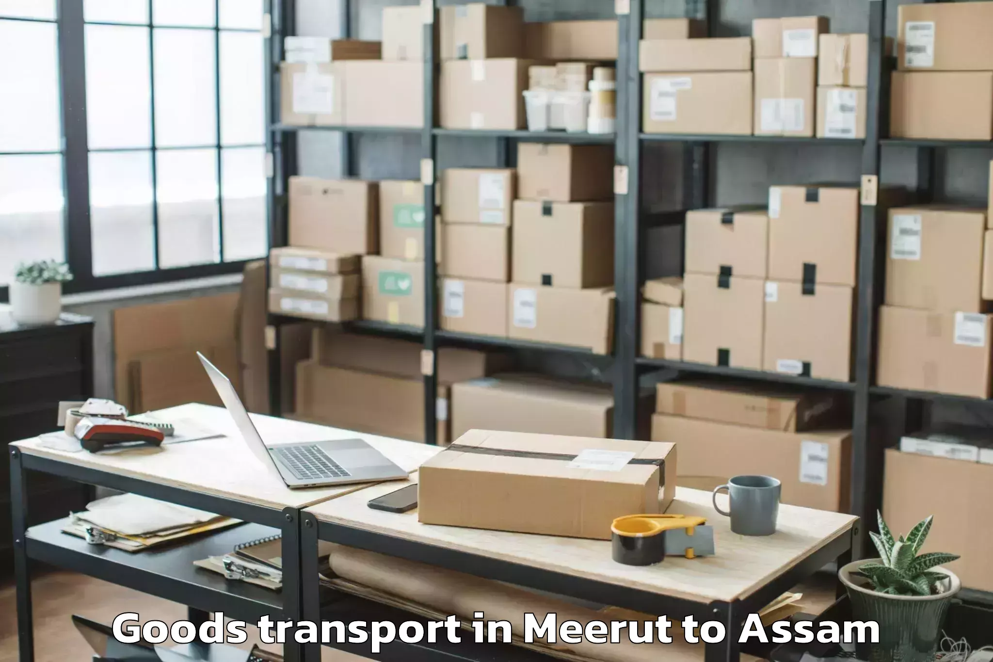 Book Meerut to Nazira Goods Transport Online